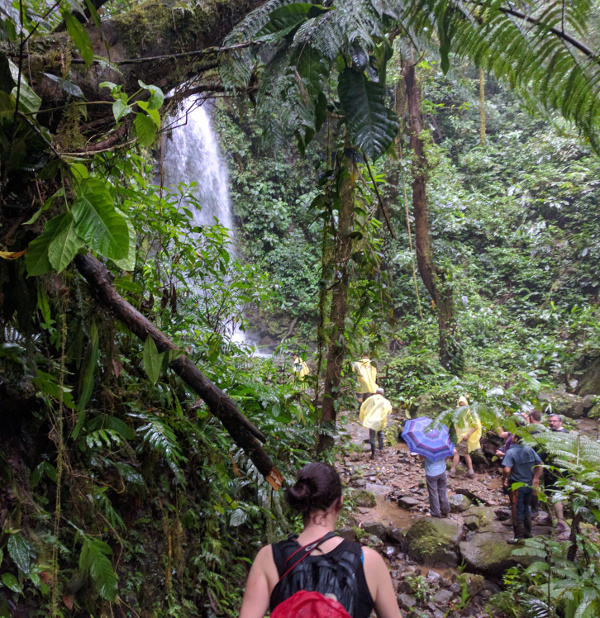 Costa Rican waterfall