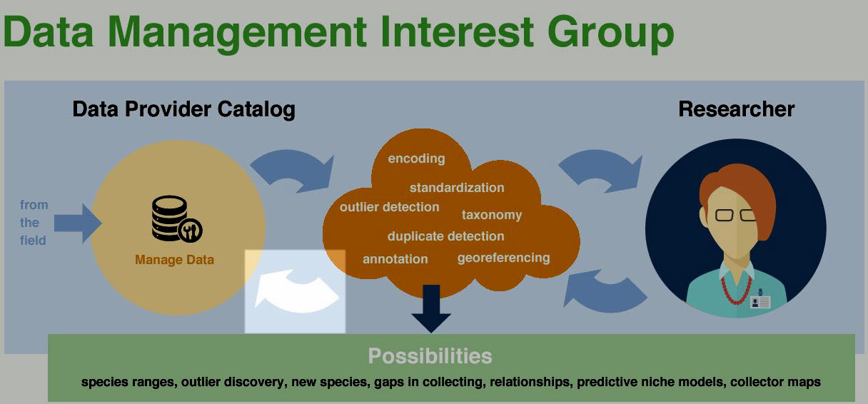 poster for the Data Management Interest Group at iDigBio