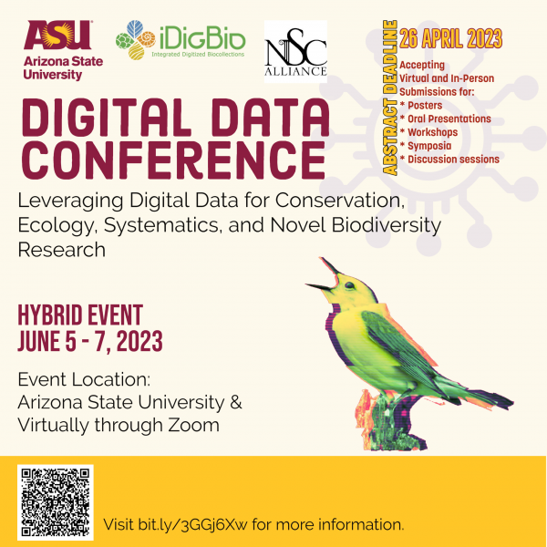 File:DD7AbstractSocialMedia.png