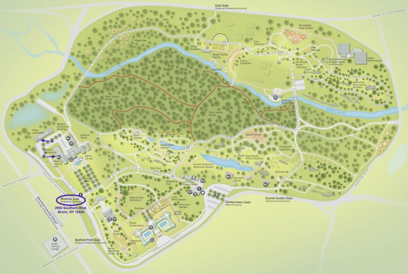 File:NYBG-Floor-Map.jpg