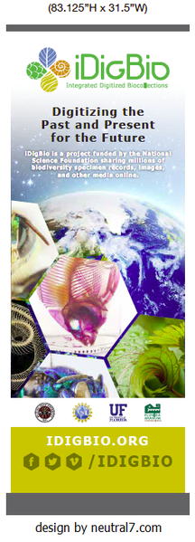 File:Idigbio-display-1-panel-small.png